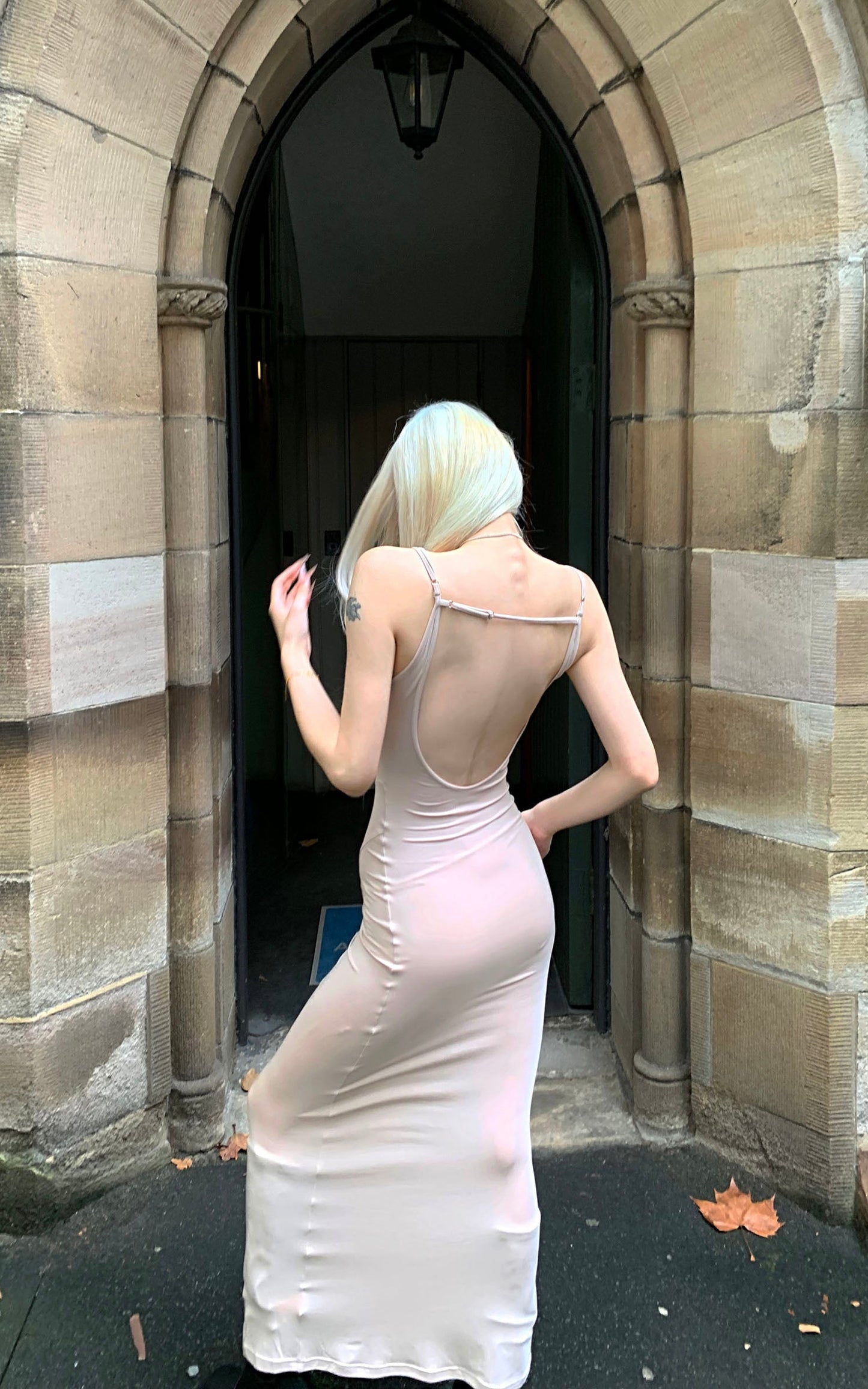 Leopard Appliqué Backless Maxi Dress