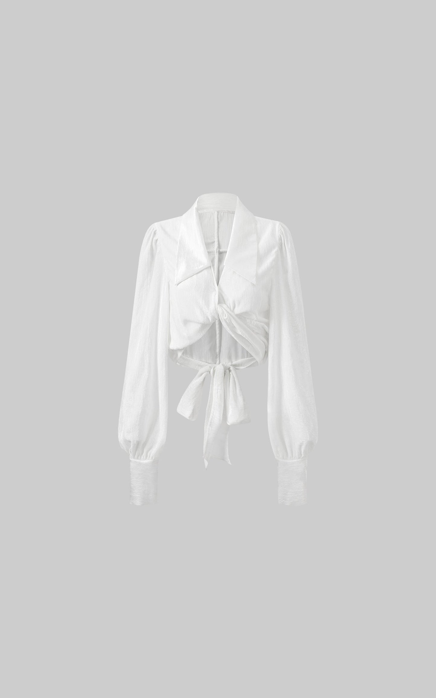 Textured Sheer Tie-Front Blouse