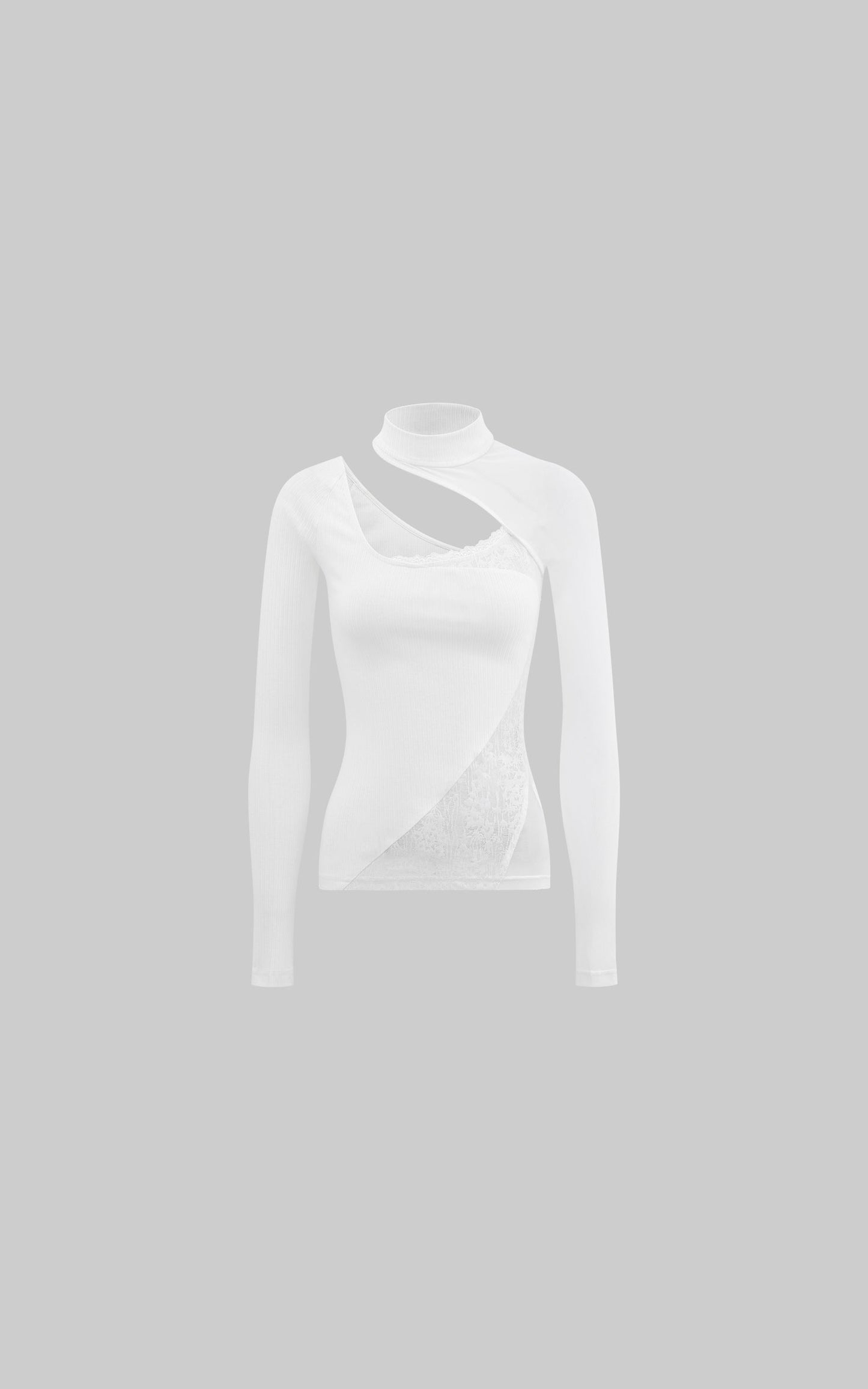 Lace & Mesh Paneled Fitted Top