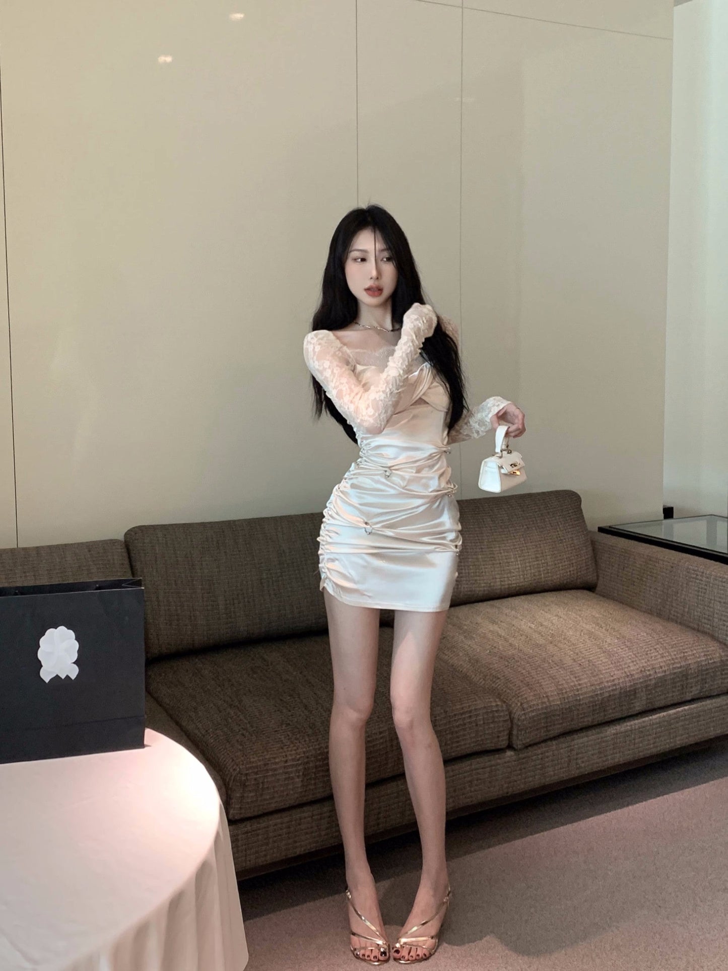 Lace Sleeve Dress