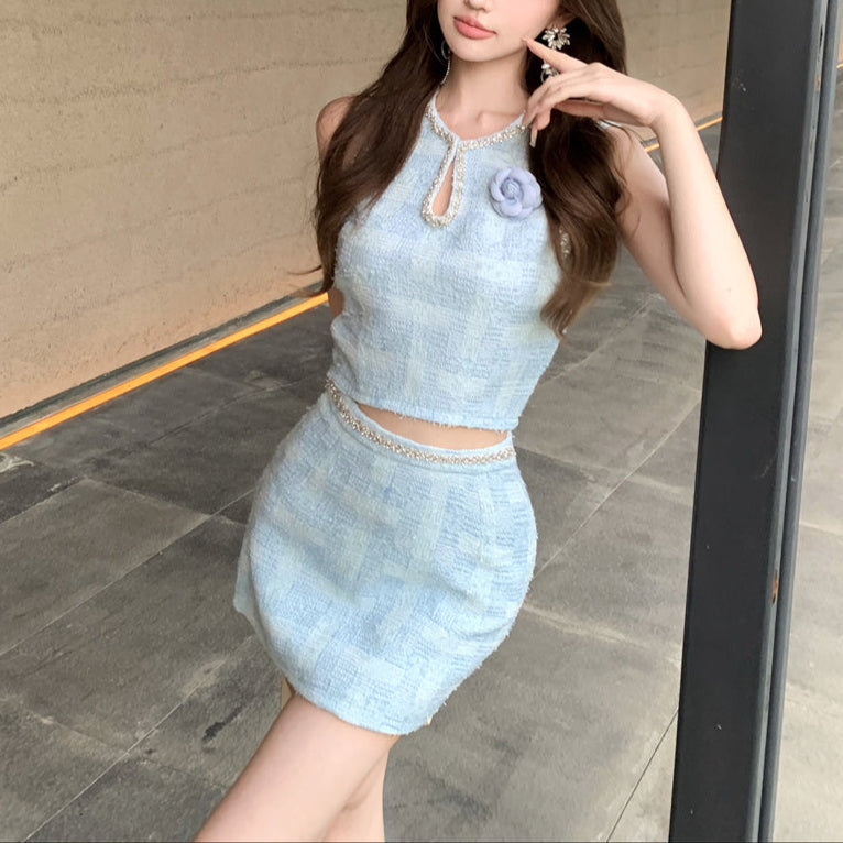 French Top & Skirt Set