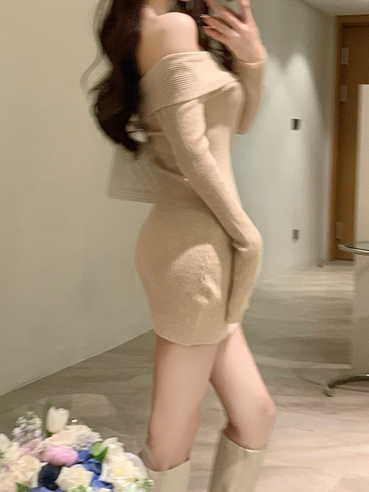 Knit Autumn Dress