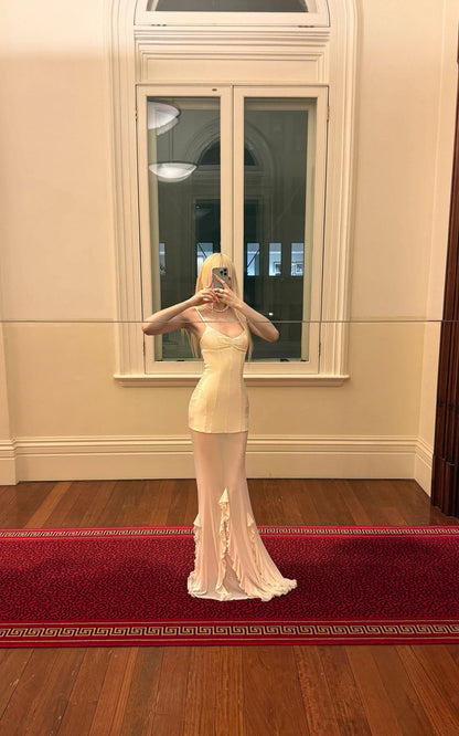 Lace Panelled Fitted Mermaid Gown