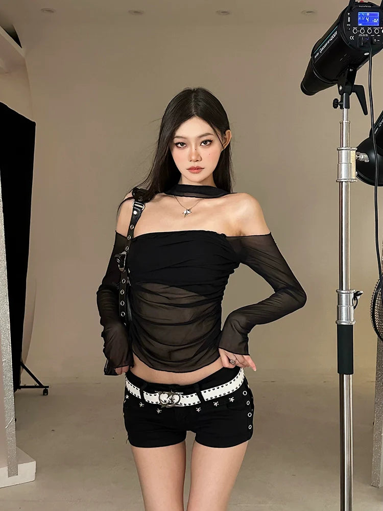 Long Sleeve Crop Top with Mesh Sleeves