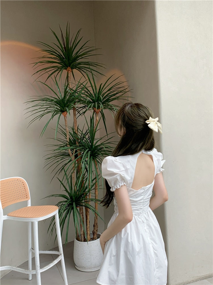 Party Dress