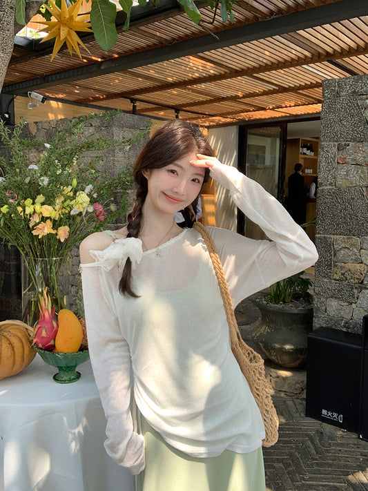 See Through Long Sleeve Top